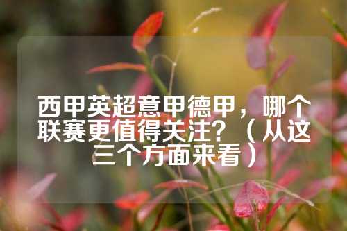 坛评论员指