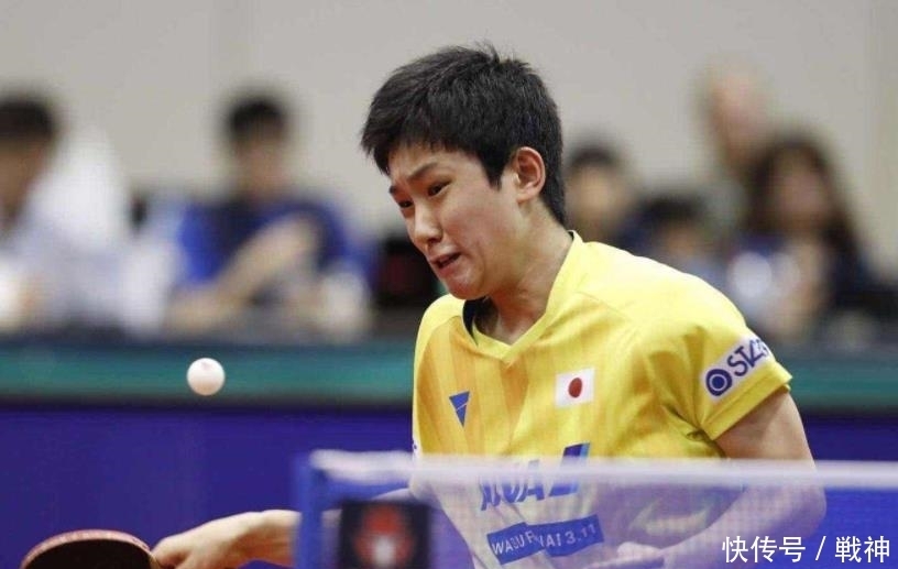 他職業生涯 他職業生涯