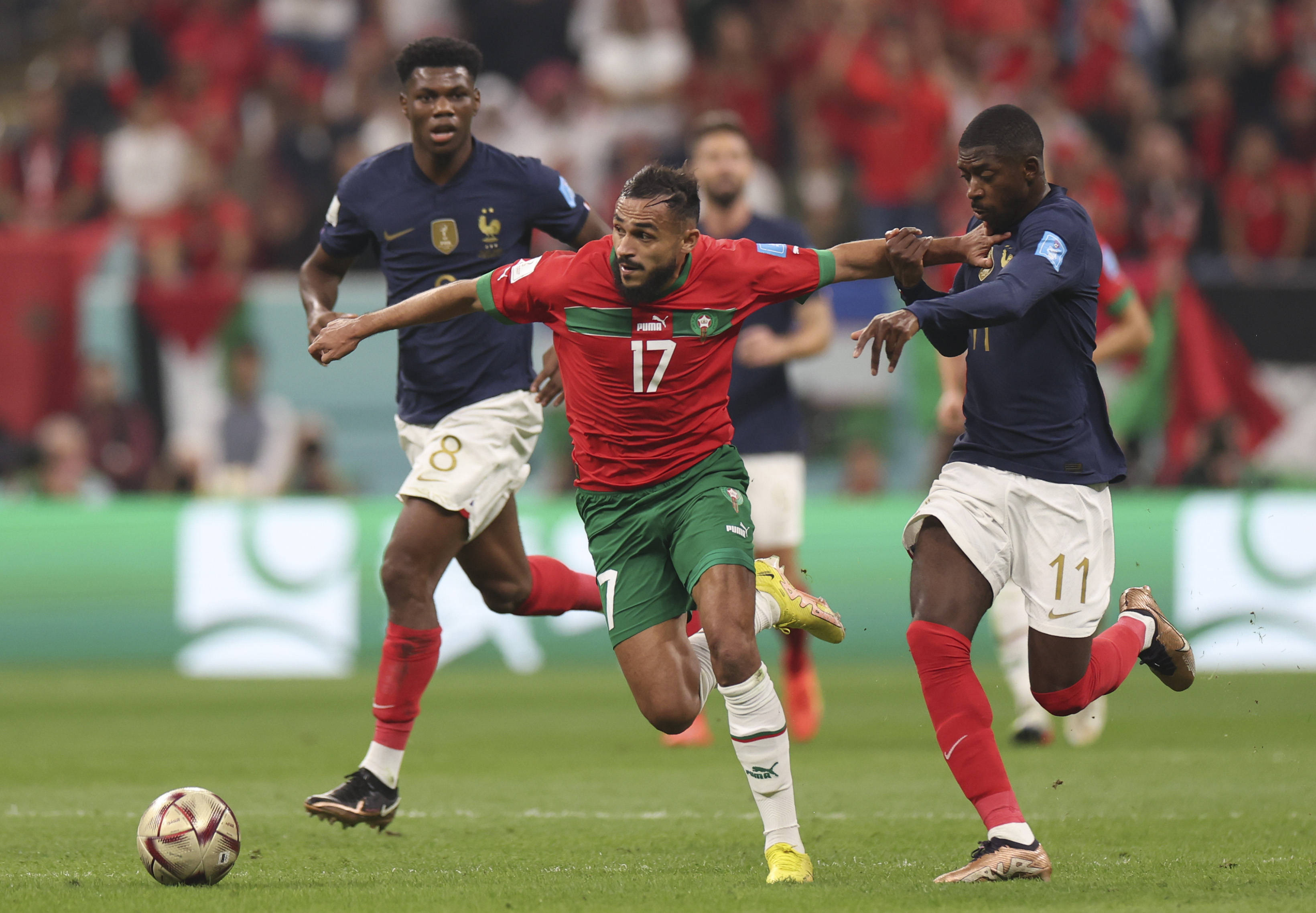 步瑞昌赛次 步瑞昌赛次