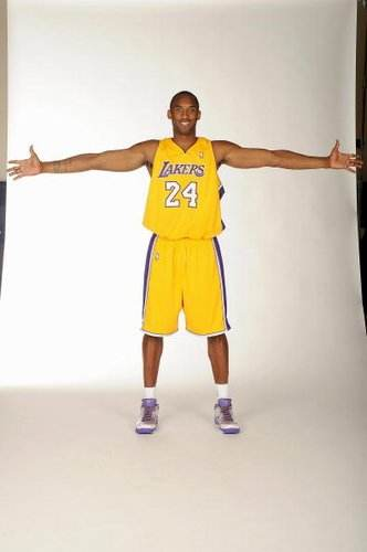 不仅是一份 不仅是一份